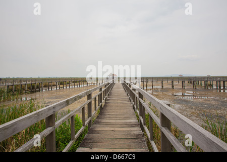 Holz-Brücke bei Sam Roy Yod Nation Park, Provinz Prachuapkhirikhan, Süden von Thailand Stockfoto