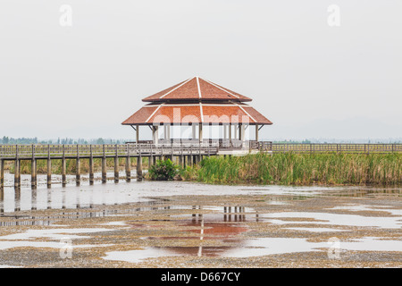 Holz-Brücke bei Sam Roy Yod Nation Park, Provinz Prachuapkhirikhan, Süden von Thailand Stockfoto