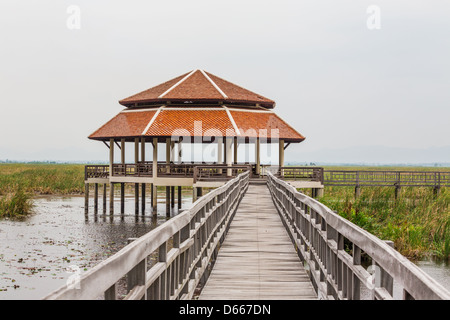 Holz-Brücke bei Sam Roy Yod Nation Park, Provinz Prachuapkhirikhan, Süden von Thailand Stockfoto