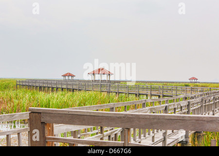 Holz-Brücke bei Sam Roy Yod Nation Park, Provinz Prachuapkhirikhan, Süden von Thailand Stockfoto