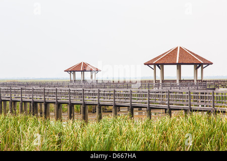 Holz-Brücke bei Sam Roy Yod Nation Park, Provinz Prachuapkhirikhan, Süden von Thailand Stockfoto