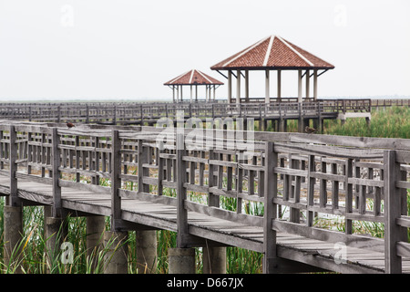 Holz-Brücke bei Sam Roy Yod Nation Park, Provinz Prachuapkhirikhan, Süden von Thailand Stockfoto