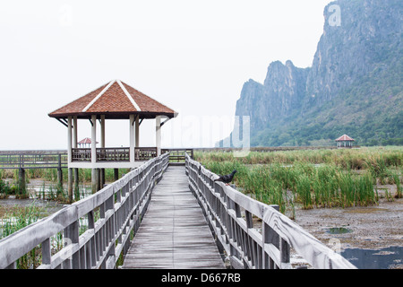 Holz-Brücke bei Sam Roy Yod Nation Park, Provinz Prachuapkhirikhan, Süden von Thailand Stockfoto