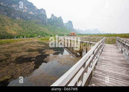 Holz-Brücke bei Sam Roy Yod Nation Park, Provinz Prachuapkhirikhan, Süden von Thailand Stockfoto