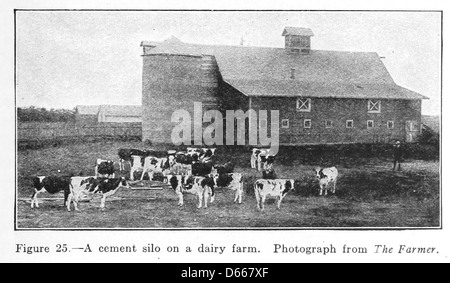 Eine Studie von Nutztieren (1922) Stockfoto