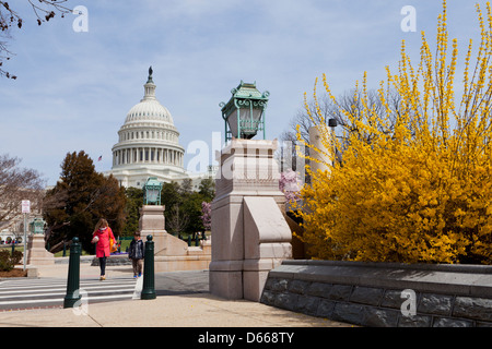 Frühling am uns Capitol - Washington, DC USA Stockfoto