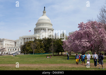 Frühling am uns Capitol - Washington, DC USA Stockfoto