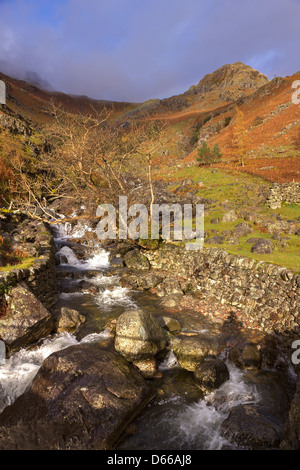 Tumbling Mountain Stream von scheut Ghyll, Great Langdale, Lake District, Cumbria. England, UK Stockfoto