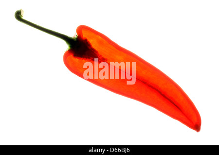 Rot Romano Paprika halbieren, Gegenlicht Stockfoto