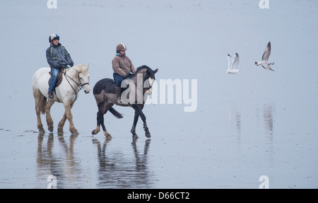 Reiter am Strand von Marazion Cornwall Stockfoto