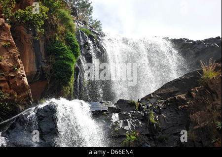 Groß Walter Wasserfall innerhalb von Walter Sisulu Botanical Gardens in Johannesburg gefunden. Stockfoto