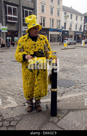 CORNWALL; TRURO; SAMMELN FÜR MARIE CURIE CANCER CARE Stockfoto