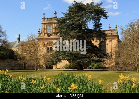 Trinity College Chapel und vordere Viereck Garten mit Zeder und Narzissen im Frühjahr Oxford Oxfordshire England UK Großbritannien Stockfoto