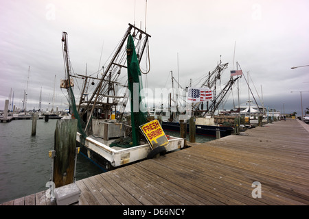 Krabbenkutter am dock an einem bewölkten Tag in Corpus Christi, Texas, USA Stockfoto