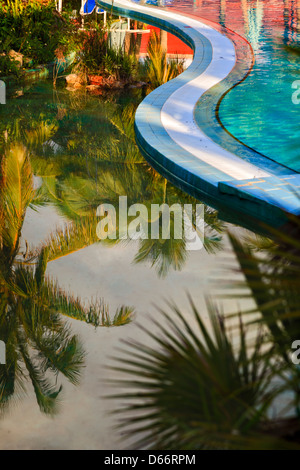 Palm Bäume Reflexion im Schwimmbad. Stockfoto