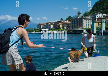Italienischen Seen, Bellagio, Comer See, Italien, Juli 2010.  Kleiner Hund Aufmerksamkeit mit Besucher, Bellagio, Comer See, Italien. Stockfoto