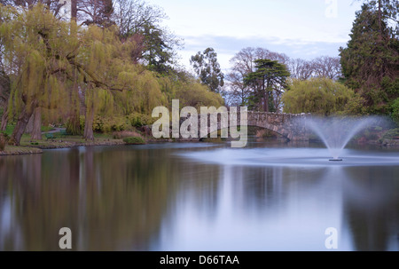 Dieses Bild wurde aufgenommen in Beacon Hill Park, Victoria, Britisch-Kolumbien Stockfoto