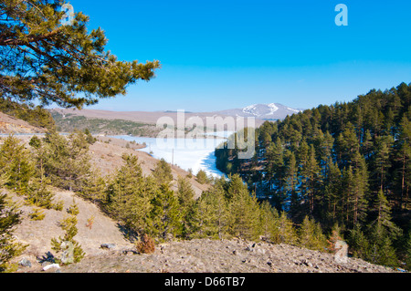 Fichten auf den Hügeln der Umgebung Zlatibor in Serbien, Rybniza Umgebung Stockfoto