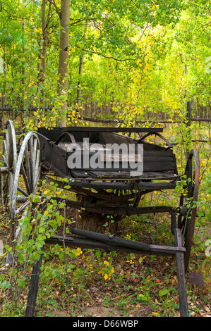 Buggy vor Museumsbau, mit Herbstlaub, Vicksburg Geisterstadt Sawatch Mountains, Colorado. Stockfoto