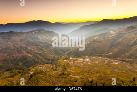 Yuanyang Reis Terrassen Sonnenuntergang in Yunnan, China. Stockfoto