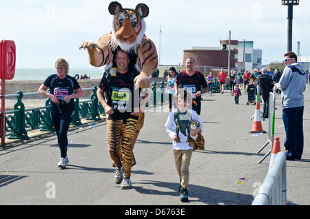 Brighton, UK. 14. April 2013. Unterstützung der Tiger - Paul Goldstein mit Sohn Josh auf der letzten Etappe von Brighton Marathon Phot Credit zusammen ist: Julia Claxton/Alamy Live News Stockfoto