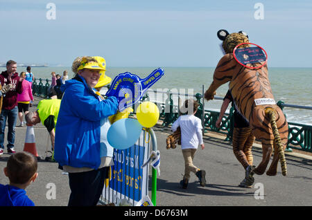 Brighton, UK. 14. April 2013. Unterstützung der Tiger - Paul Goldstein mit Sohn Josh auf der letzten Etappe von Brighton Marathon Phot Credit zusammen ist: Julia Claxton/Alamy Live News Stockfoto