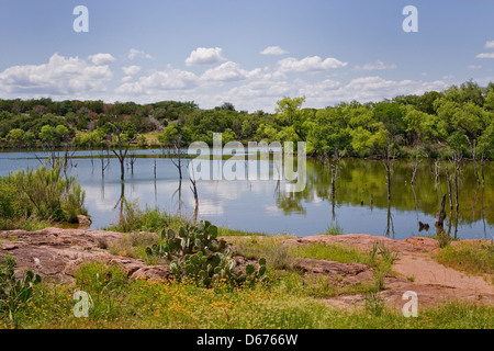 See der Toten Bäume Stockfoto