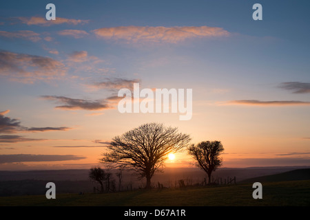 Sonnenuntergang über der Clubman Down, Dorset. In der Nähe von Fontmell und Melbury Downs sind spektakuläre Ausblicke über die Blackmore Vale möglich. Stockfoto