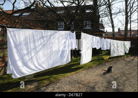 Eine Wäscheleine von Bettwäsche und Kissenbezüge in North Yorkshire Garten Großbritannien hängen Stockfoto