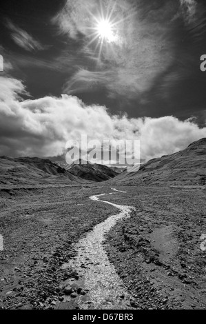 Schwarzweißansicht Schnee schmelzen aus der Alaskakette Feeds einen kleinen Bach, Denali National Park, Alaska, USA Stockfoto