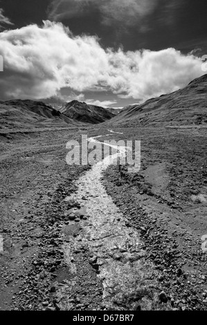 Schwarzweißansicht Schnee schmelzen aus der Alaskakette Feeds einen kleinen Bach, Denali National Park, Alaska, USA Stockfoto