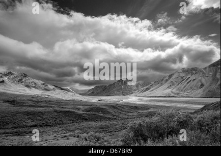 Schwarzweißansicht nordöstlich von Thorofare River, Denali National Park, Alaska, USA Stockfoto