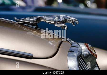 1966 Jaguar S-Type, antike Auto Show, Sully historische Stätte, Chantilly, Virginia Stockfoto