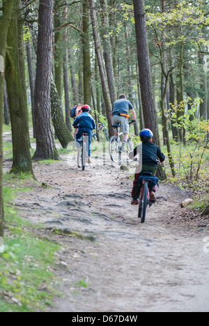 Familie auf Fahrrädern durch Wald in der Nähe von Zemborzycki See, Lublin, Polen, Europa Stockfoto