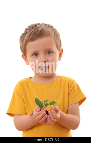 Junge, Wachstum, Sämling Stockfoto