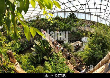 Besucher entdecken Sie die tropischen Park "Gondwanaland" zu Fuß über eine 90m lange Brücke befindet sich 12 Meter über dem Boden im Zoo Leipzig, Deutschland, 24. Juni 2012. 16 500 qm große Halle, die größte tropische Stätte in Europa, benannt nach Gondwana - die südlichste der zwei prähistorische Supercontinents nach dem Zoo, verfügt über ca. 300 Tiere, sowie 17 000 tropischen plan Stockfoto