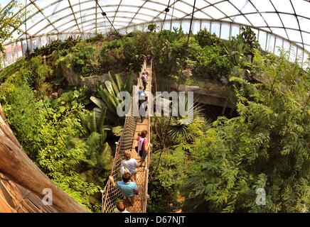 Besucher entdecken Sie die tropischen Park "Gondwanaland" zu Fuß über eine 90m lange Brücke befindet sich 12 Meter über dem Boden im Zoo Leipzig, Deutschland, 24. Juni 2012. 16 500 qm große Halle, die größte tropische Stätte in Europa, benannt nach Gondwana - die südlichste der zwei prähistorische Supercontinents nach dem Zoo, verfügt über ca. 300 Tiere, sowie 17 000 tropischen plan Stockfoto