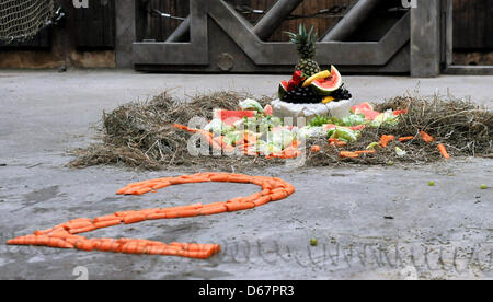 Zoo Ostrava, Tschechische Republik. 13. April 2013. Der Elefanten-Junge namens Rashmi, Acconpanied von der Mutter Johti, feierte ihren zweiten Geburtstag am 12. April im Zoo Ostrava, die Feier fand am 13. April 2013. (Foto/Jaroslav Ozana CTK/Alamy Live News) Stockfoto