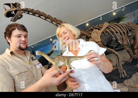 Minister für Wissenschaft des unteren Sachsen Johanna Wanka (CDU, R) erhält ein Holzmodell einer Europasaurus vom Chef Präparator Nils Knoetschke im Dinosaurier-Freilichtmuseum in Muenchehagen, Deutschland, 28. Juni 2012. Ein vollständiges Skelett eines Europasaurus ist im Hintergrund zu sehen. Wanka besucht mehrere Dinosaurier Ausgrabungsstätten in Niedersachsen. Foto: Holger Hollemann Stockfoto