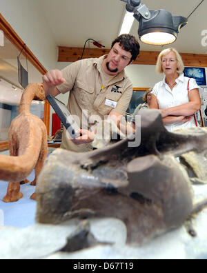 Minister für Wissenschaft des unteren Sachsen Johanna Wanka (CDU, R) hat Chef Präparator Nils Knoetschke erklären einige Dinosaurier-Knochen im Dinosaurier-Freilichtmuseum in Muenchehagen, Deutschland, 28. Juni 2012. Ein vollständiges Skelett eines Europasaurus ist im Hintergrund zu sehen. Wanka besucht mehrere Dinosaurier Ausgrabungsstätten in Niedersachsen. Foto: Holger Hollemann Stockfoto