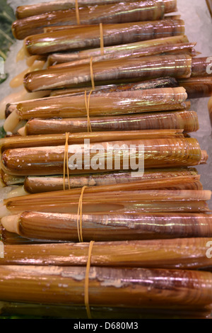 Messermuscheln, Fisch stall, Lebensmittel Markt La Boqueria, Barcelona. Stockfoto