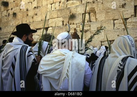 Orthodoxe Juden halten zeremoniellen Palmwedel und Weiden auf der Sukkot Laubhüttenfest an der westlichen Wand oder Kotel in der Altstadt Ost Jerusalem Israel Stockfoto