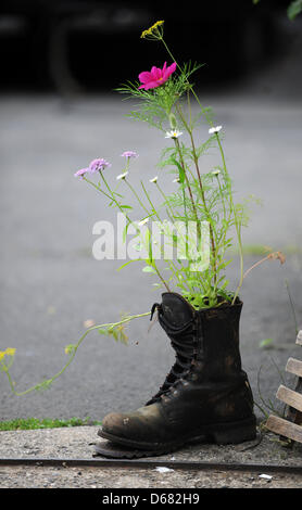 Blumen wachsen aus einem Boot auf dem Gelände des Hauptbahnhofs in Kassel, Deutschland, 2. Juli 2012. Foto: Uwe Zucchi Stockfoto