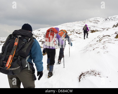 Gruppe von Ramblers Bergsteigen mit Rucksäcken und Winter gear Wandern bis Tal-y-Fan im tiefen Schnee in den Bergen von Snowdonia, North Wales, UK Stockfoto