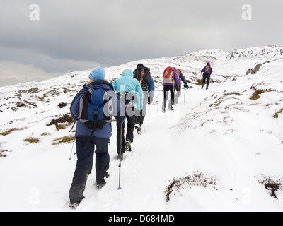 Gruppe der Wanderer in einer Linie wandern bis Tal-y-Fan Berg im tiefen Schnee in den Bergen von Snowdonia, North Wales, UK, Großbritannien Stockfoto