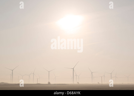 Nebligen Morgen in der kleinen Cheyne Gericht Windpark an Romney Marsh, Kent. In der Nähe der East Sussex-Grenze. Stockfoto