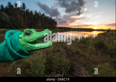 ILLUSTRATION - eine illustrierte Bild zeigt eine Krokodil Handpuppe vor See Mittlerer Klausen (Mittlerer Klausensee) in der Nähe von Schwandorf, Deutschland, 10. Juli 2012 statt. Eine Walker behauptet, ein 1m langes Krokodil am Seeufer gesehen und rief die Polizei am 7. Juli 2012. Foto: Armin Weigel Stockfoto