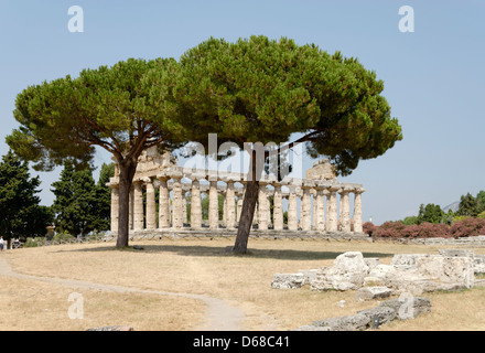 Paestum. Italien. Hinten (Richtung Westen) und Sothern Seite der Tempel der Athena (der Ceres). Stockfoto