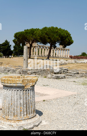 Paestum. Italien. Hinten (Richtung Westen) und Südseite der Tempel der Athena (der Ceres). Stockfoto