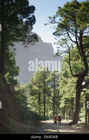 La ridge Palma, Kanarische Inseln - La Cumbrecita, Mountain Nationalpark-Gebiet. Älteres Ehepaar zu Fuß unterwegs. Stockfoto